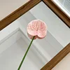 Rosa#1