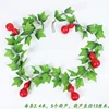 Calabaza roja extra grande (1 pieza)