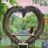 Nido per uccelli a forma di cuore-23m