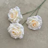 Champán rosa diamante sin hojas