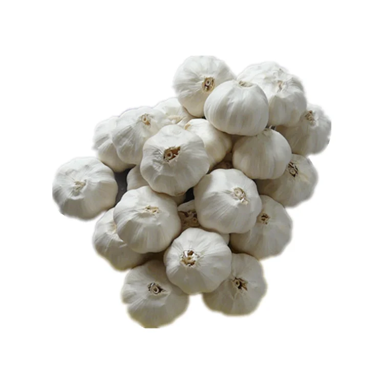 Healthy White pure white Fresh Garlic from China Chinese Supply all the year round
