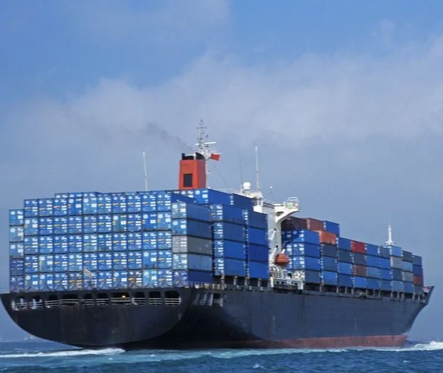 Professional Cheaper Rates Qingdao,China to Europe/Middle EastSea Freight Forwarder Shipping Agent 