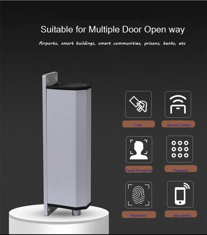 IP66 High Security  Long Distance  Control Automatic Swing Gate Opener Closer for Gate
