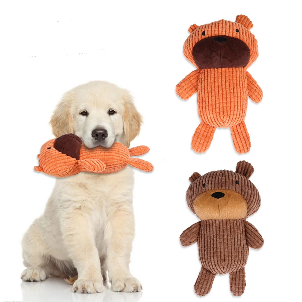 dog chew teddy