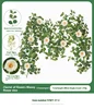 flower vine Cluster of flowers Money