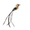 Brown magpies-brown