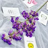 violet foncé