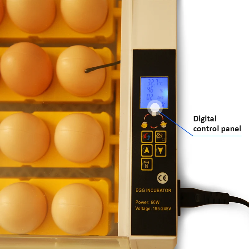 HHD 24 Capacity LCD Display Fertilized Parrot Incubators Hatching Eggs Egg Products