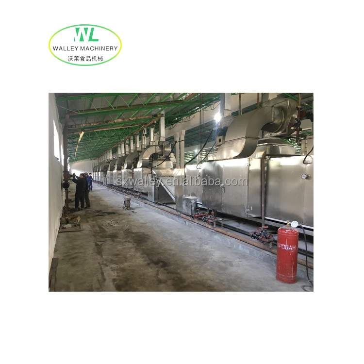 Customizing Continuous Single Layer Belt Dryer for Garlic and Onion