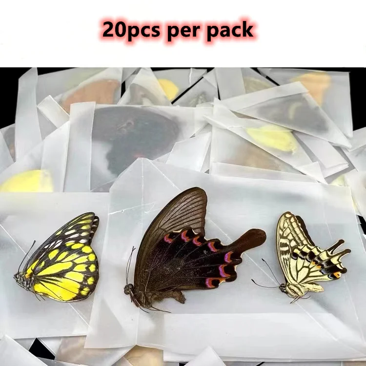 Large Medium and Small Size Specimen Triangle Bag Insect Outdoor Collection and Storage butterfly Dragonfly Triangle Paper Bag