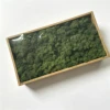 Verde dell'esercito