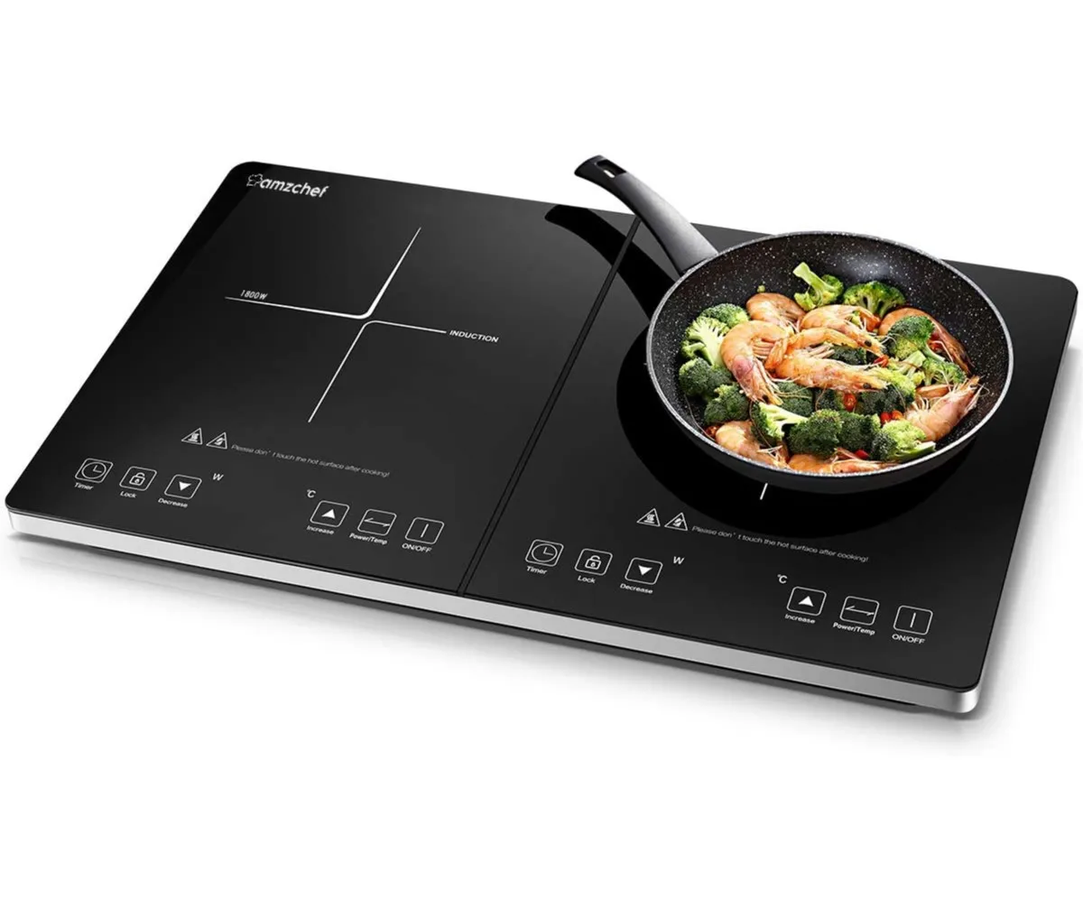 multi induction cooker