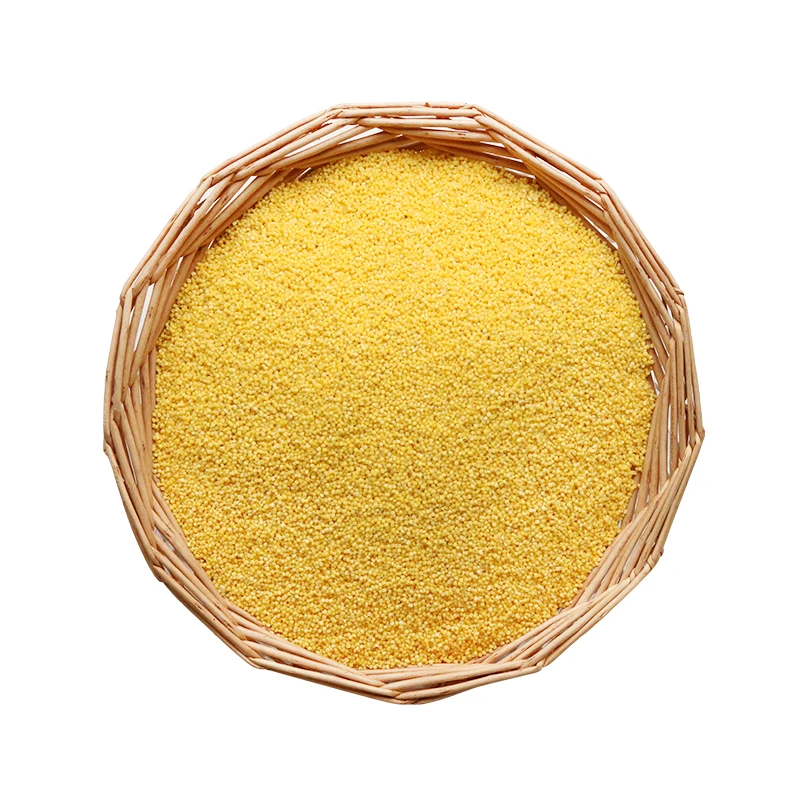 New Arrival new crop yellow millet yellow panicum millet yellow millet in husk manufacture