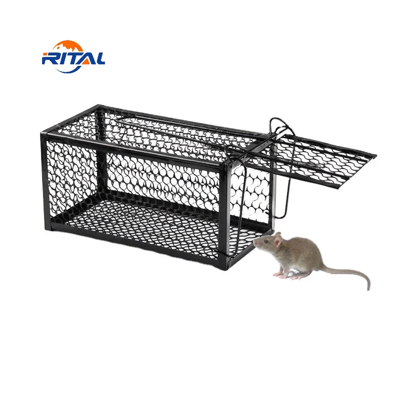 Indoor Humane Live Catch High Sensitive Rat Rodent Control Mouse Trap Cage  - China Mouse Trap Cage and Mouse Cage Trap price