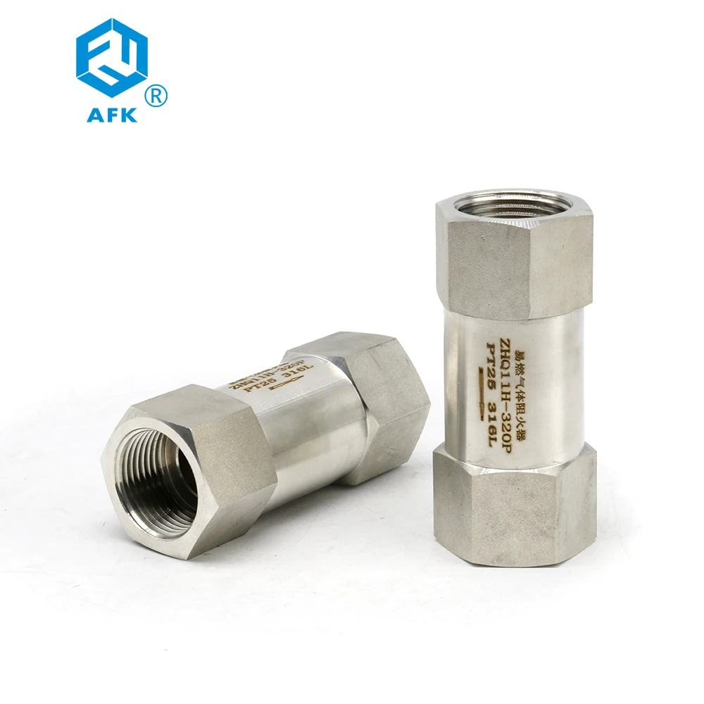 Flammable Gas Flame Arrestor SS316 Female 1