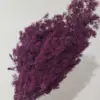 Grape purple
