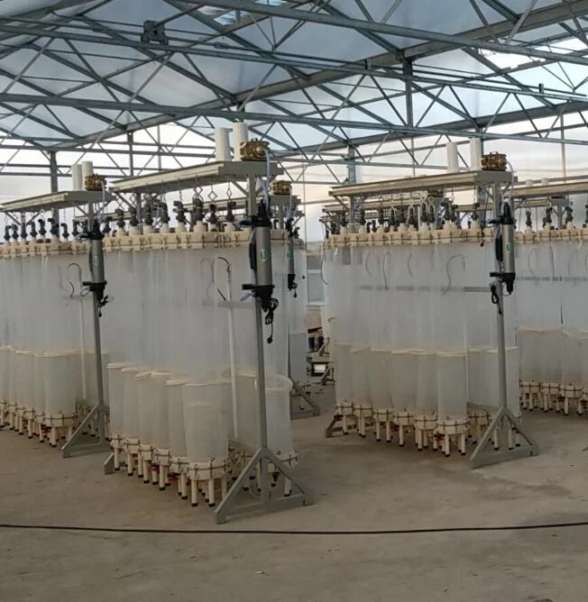 微藻培养,微藻培养生物反应器