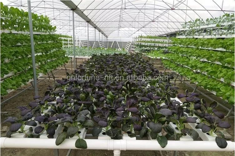 rusirly hydroponic system