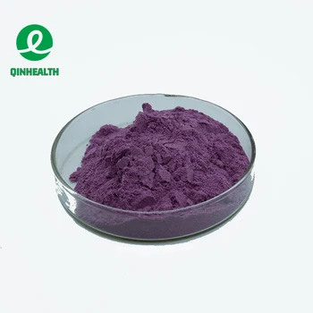 High Quality Black currant extract Anthocyanin 5%~35%