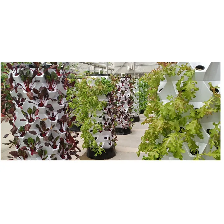 Pineapple Planting Type Vertical System Hydroponic Grow Tower