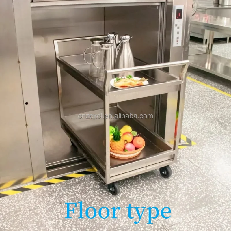Iso Ce 100kg Indoor Outdoor Hotel Laundry Elevator Restaurant Kitchen Mini Food Elevator Small