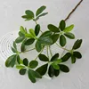Árbol de pato 76cm - ramas cortas