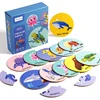 Puzzle rotondo sull'oceano