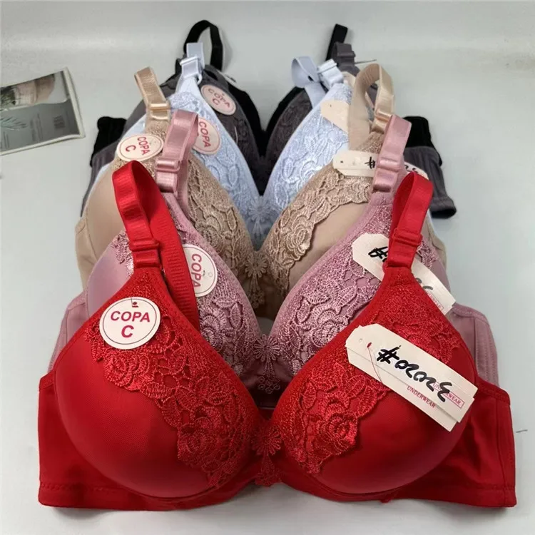 High Quality Mixed European Style Push-Up Bra for Women Comfortable Plus Size Embroidered Underwear Low Price Stock