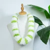 Verde y Blanco