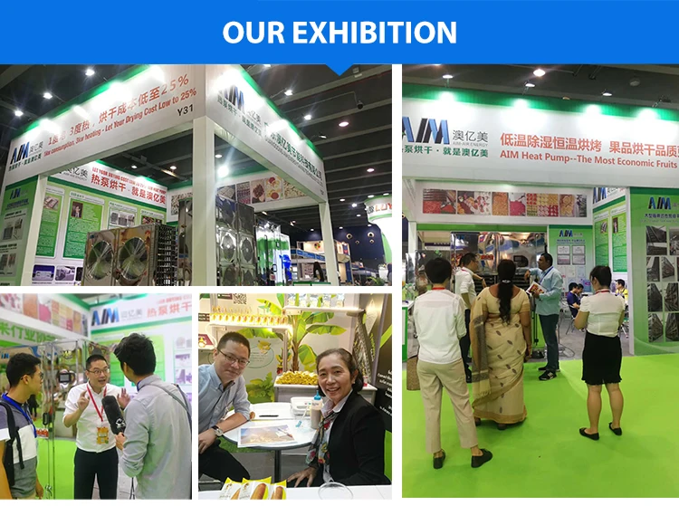 Hot Air Tea Konjac Vegetable Leaf Seed Drying Machine Chamber Dry Oven Saffron Briquette Batch Hemp Herb Dryer Secador De Fruta