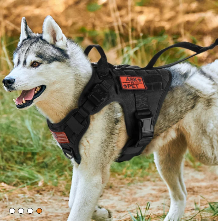 Adjustable Tactical Soft Pet Harness Sublimation Luxury Dog Leash Set Dog  Accessories