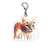 Chat aux crevettes