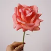 Deep pink