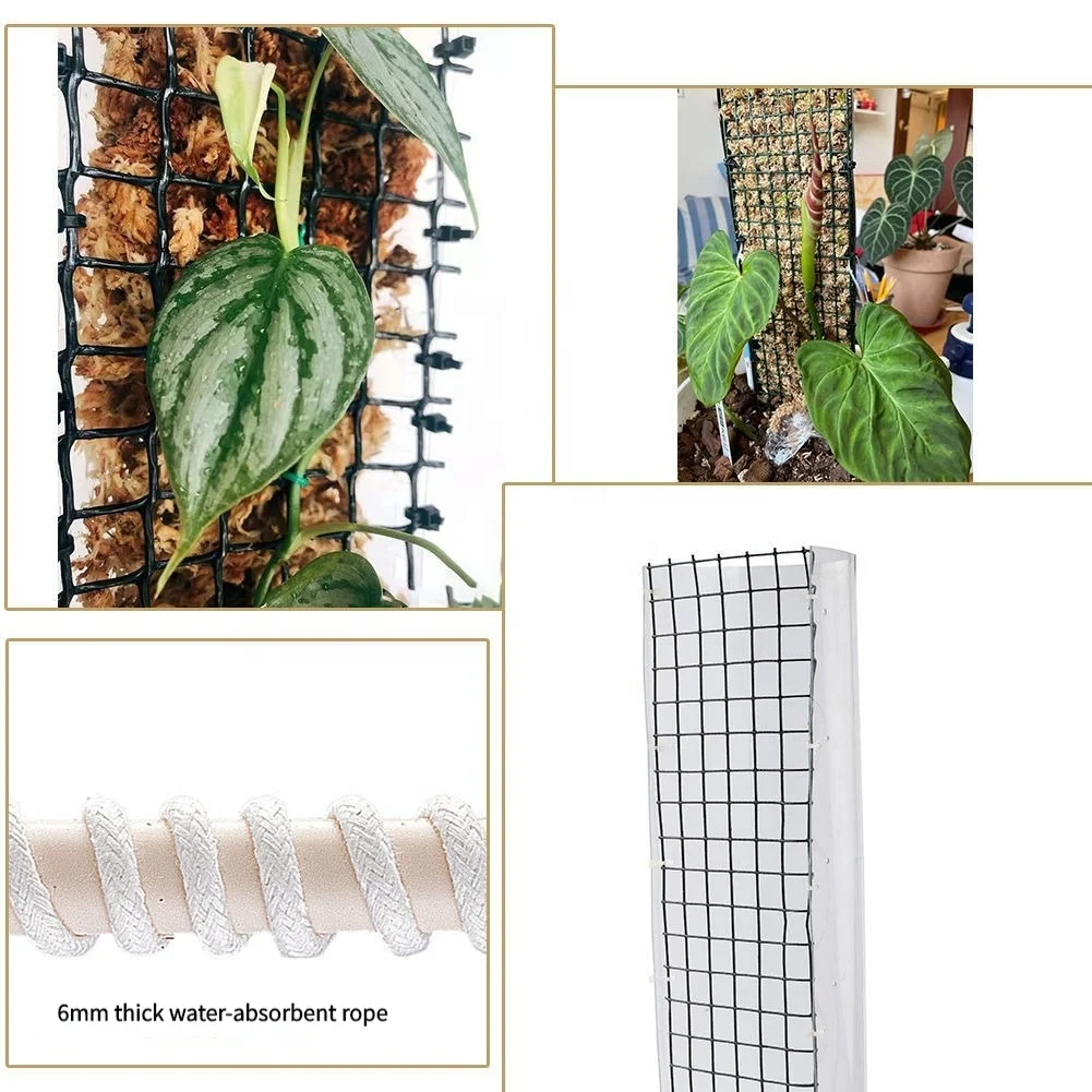 Wholesale Sphagnum Moss Pole Monstera Garden Indoor Climbing Plant Support  Stick Outdoor High Quality Sphagnum Moss Poles