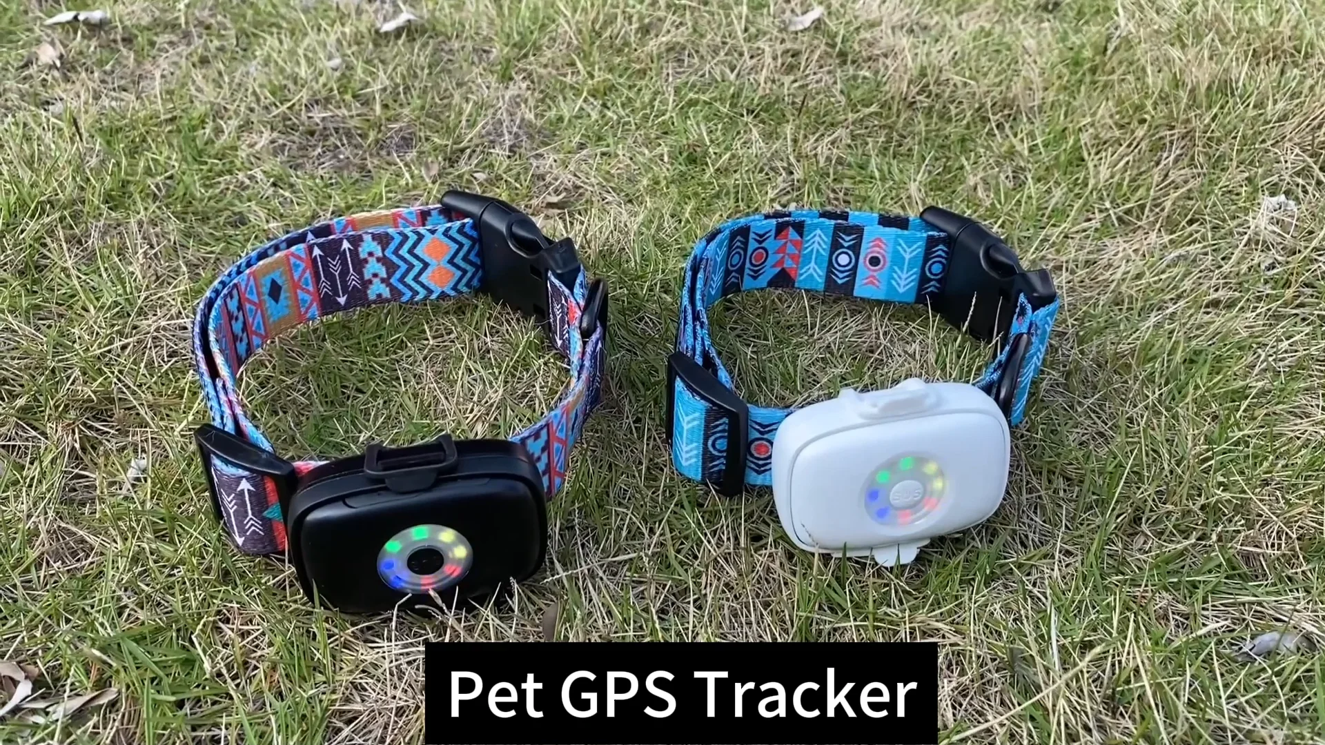 Design Pet Smart Gps Mini Antilost Waterproof Locator Pet Tracer For