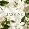100ml-jasmine