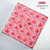 Rosa rosa rosa