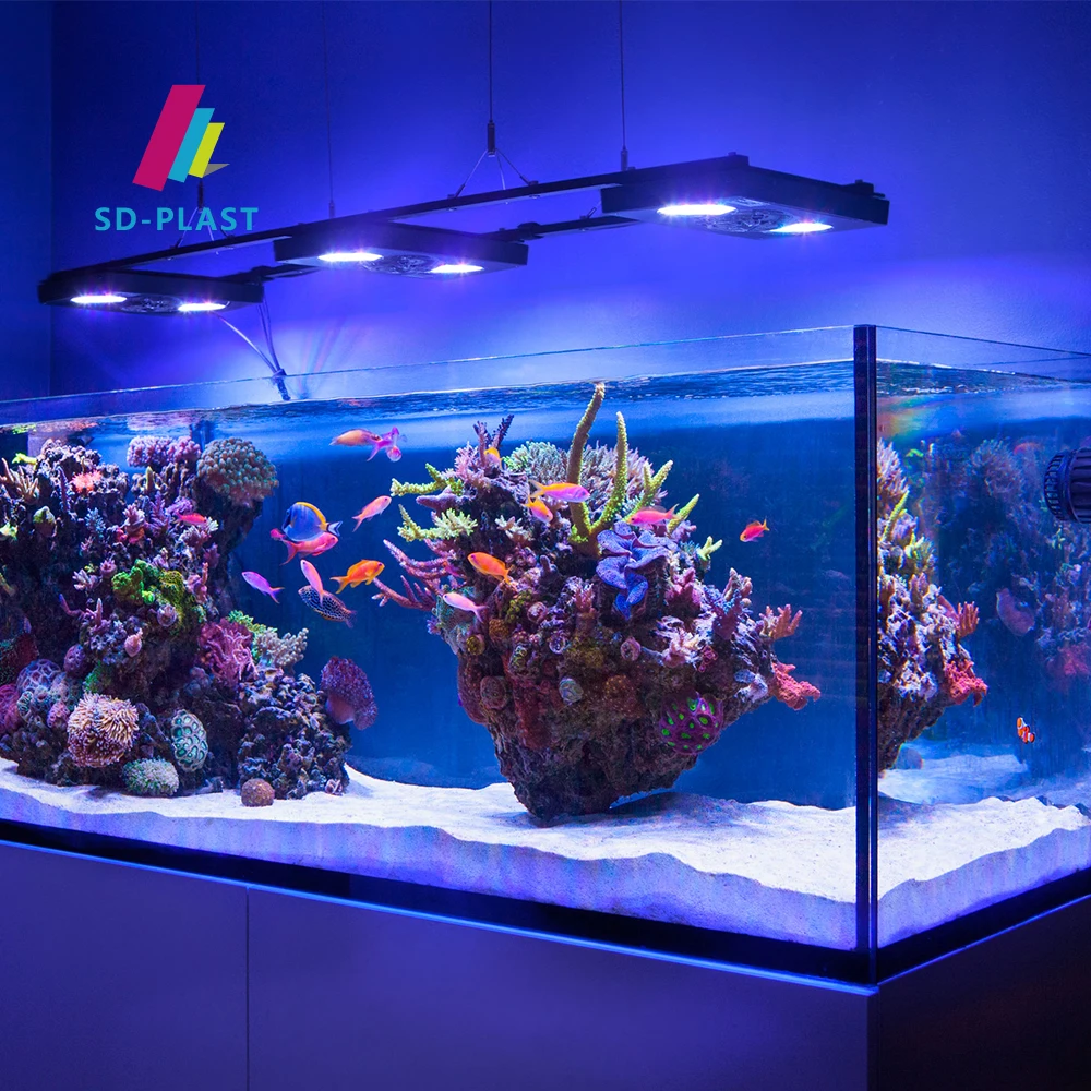 Big Acrylic Fish Tank for Aquariums Customizable OEM Wholesale