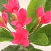 Rose rouge