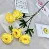 Amarillo 4
