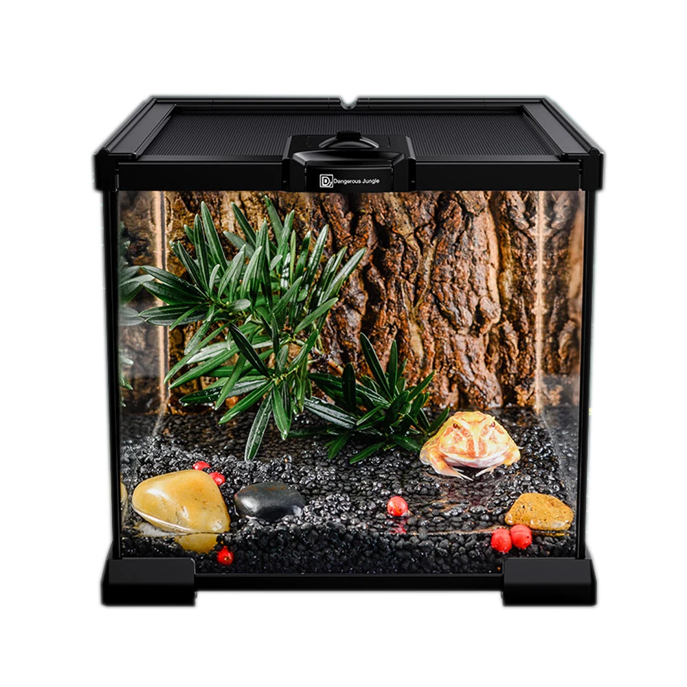 gesprek Ramen wassen Ik heb het erkend Reptiel Glas Terrarium Kooi Voor Kikker Gekko 20*20*19cm - Buy Reptiel  Kooi,Reptiel Terrarium,Gecko Terrarium Product on Alibaba.com