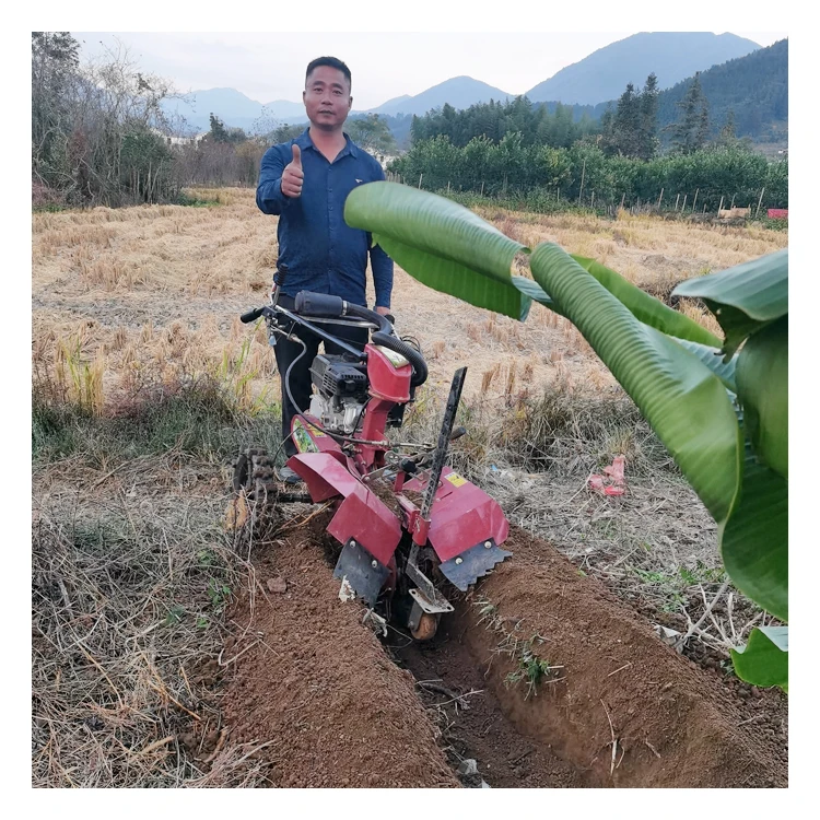 Easy Operation Professional Mini Power Tiller Power Weeder Rotavator Cultivator for Sale