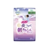 24cm 50cc 20pieces