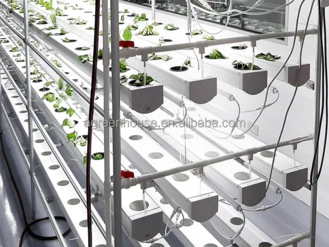 Automated Intelligent Planting System Container Farm Multi-layer Vertical NFT Hydroponic Soilless Cultivation System 2