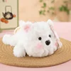 Little dog