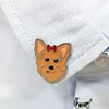 5 Yorkshire Terriers de colores