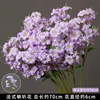 Support de trompette violet de style français