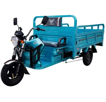 Electric adult tricycle carrying cargo 1000W Electric Tricycle