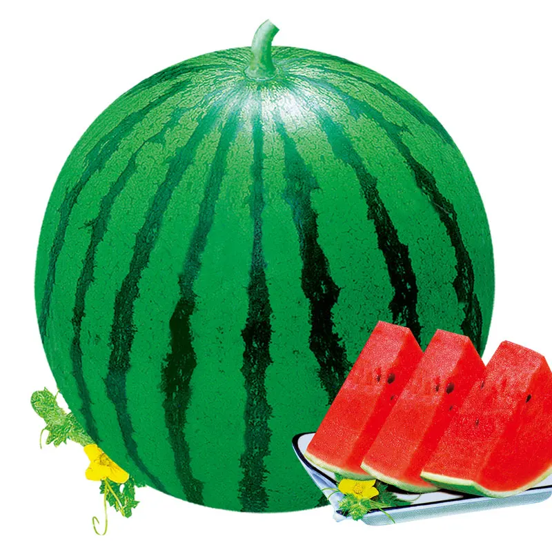 Chinese sweet  fruit round watermelon seed for planting