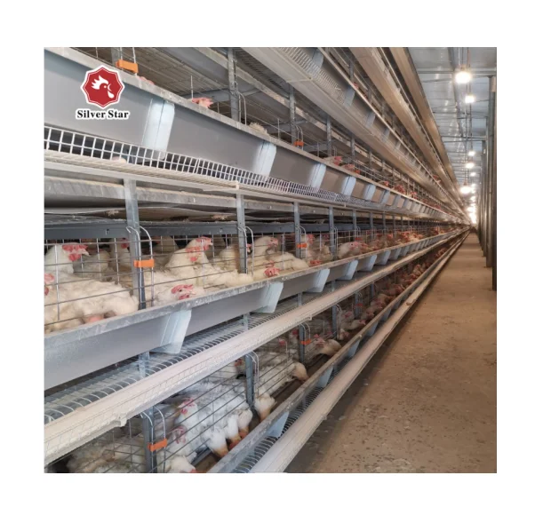 Оптовая продажа клетки для разведения кур слой клетка